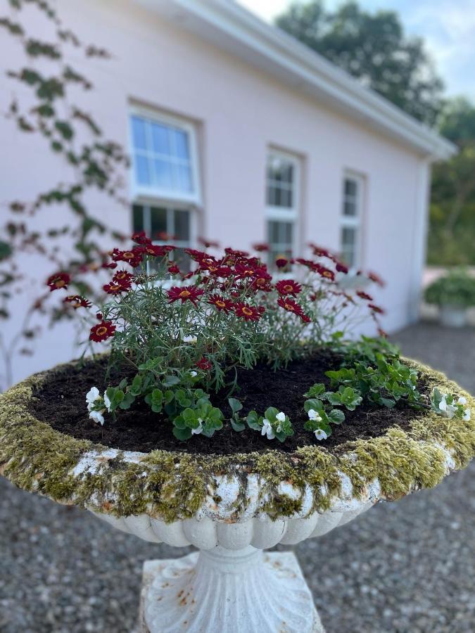 The Cottage At Riverbank Ballinamallard Exteriér fotografie